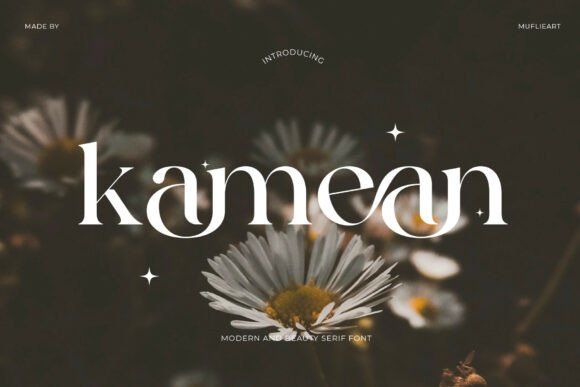 Kamean: A Font for the Discerning Eye
